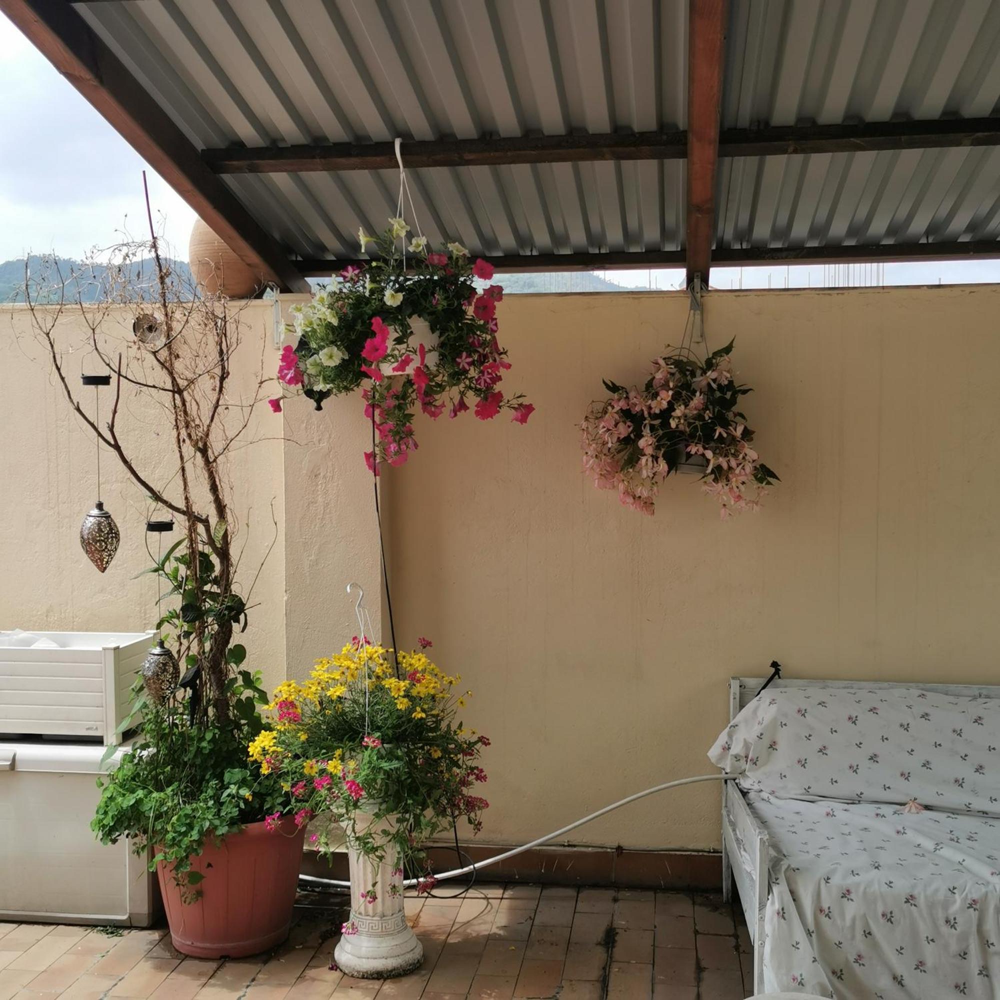 Albisola Bed And Breakfast Albisola Superiore Exterior photo